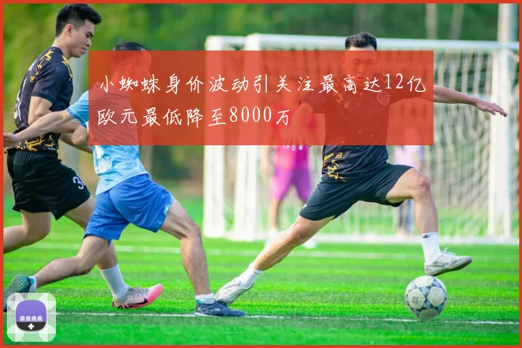 小蜘蛛身价波动引关注最高达12亿欧元最低降至8000万