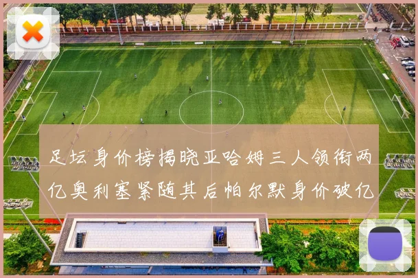 足坛身价榜揭晓亚哈姆三人领衔两亿奥利塞紧随其后帕尔默身价破亿